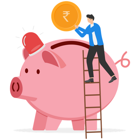 Emergency Fund Piggy Bank